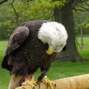 Meet your Posher, Judi